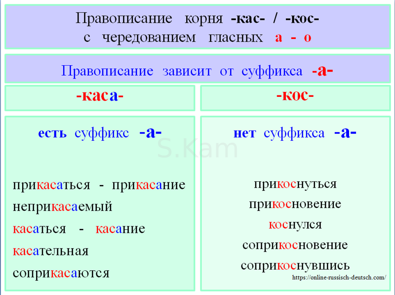 Правило кас кос в корне